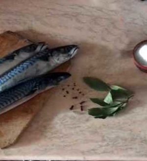 Как засолить скумбрию в домашних условиях вкусно и быстро (без уксуса)