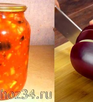 Быстрый рецепт салата из баклажанов на зиму с чесноком в томатном соке без стерилизации